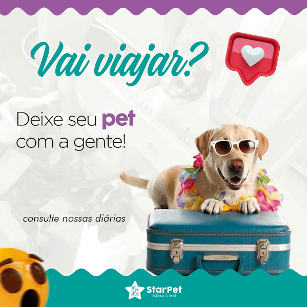 Foto 2 Star Pet Estética Animal - Banho e Tosa