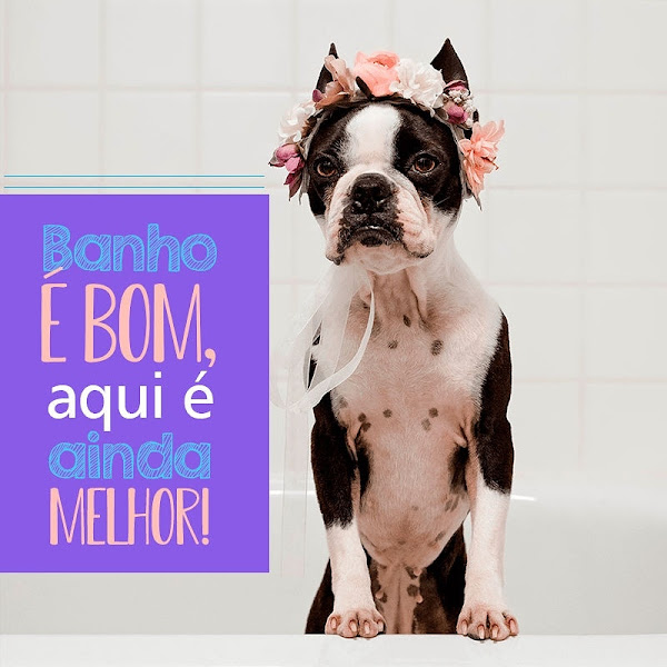 Amo Patas Estética Animal