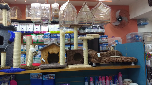 Foto 1 Brazilian Pet