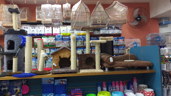 Foto 3 Brazilian Pet