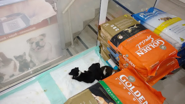 Foto 3 Animal.com Pet Shop e Veterinária