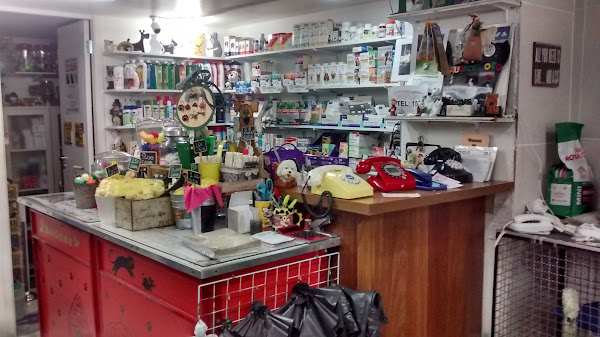 Foto 2 Fifi Pet Shop