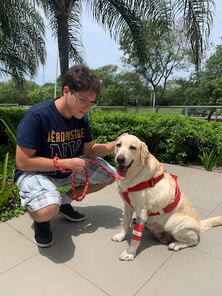 Foto 2 CDMV - Centro de Desenvolvimento da Medicina Veterinária