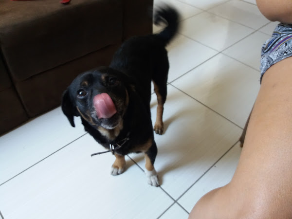 Foto 2 Casa da raçao