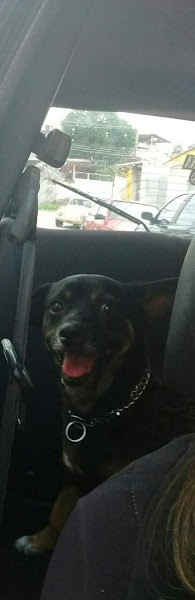 Foto 3 Casa da raçao