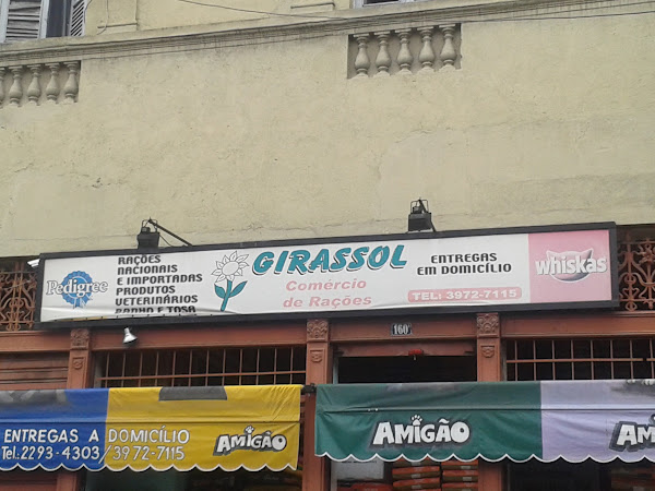 Foto 2 Girassol Rações