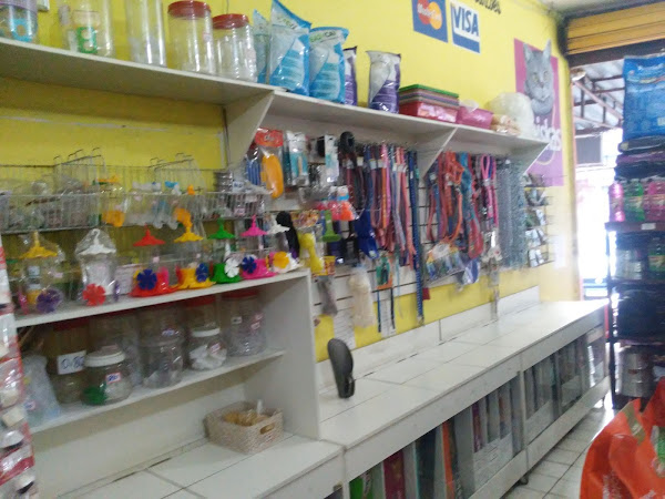 Foto 2 Raja Rações