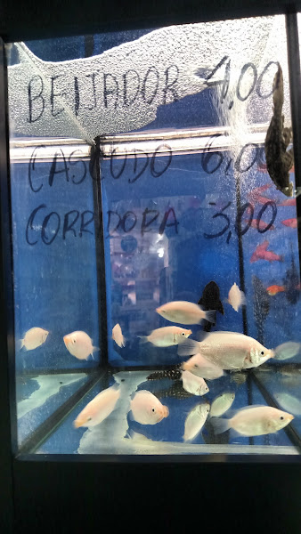 Foto 2 Nô Rações rj