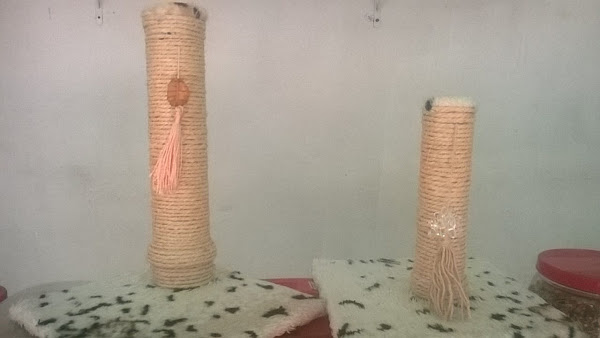 Foto 2 Arca dos Bichos Rações