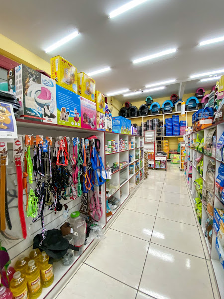 Foto 1 Show Dog Rações Honório Gurgel