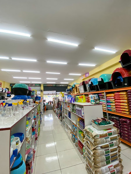 Foto 4 Show Dog Rações Honório Gurgel