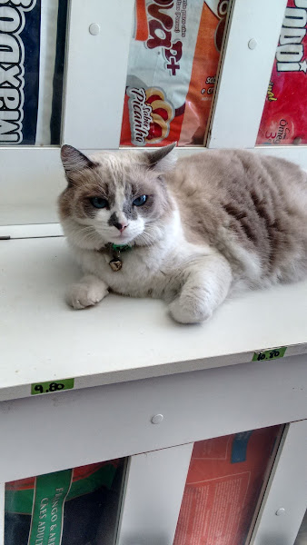 Foto 2 Realeza Rações