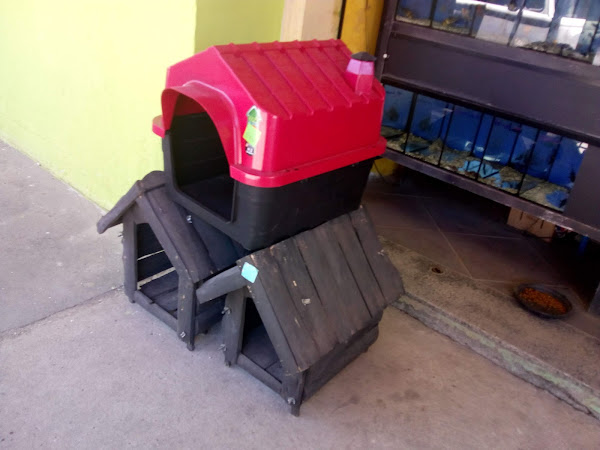 Foto 4 Realeza Rações