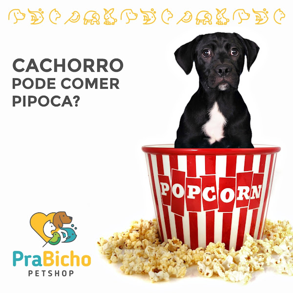 Foto 4 Pra Bicho Petshop ( Vista Alegre ) Soja Rações