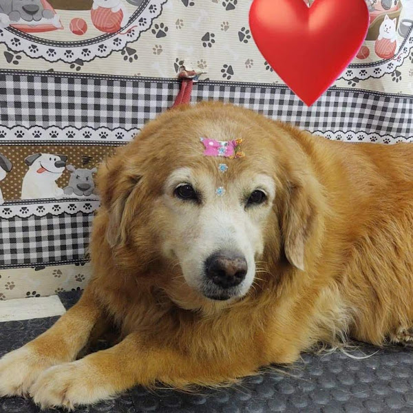 Foto 1 Toca das Rações