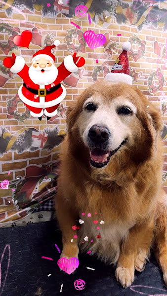 Foto 2 Toca das Rações