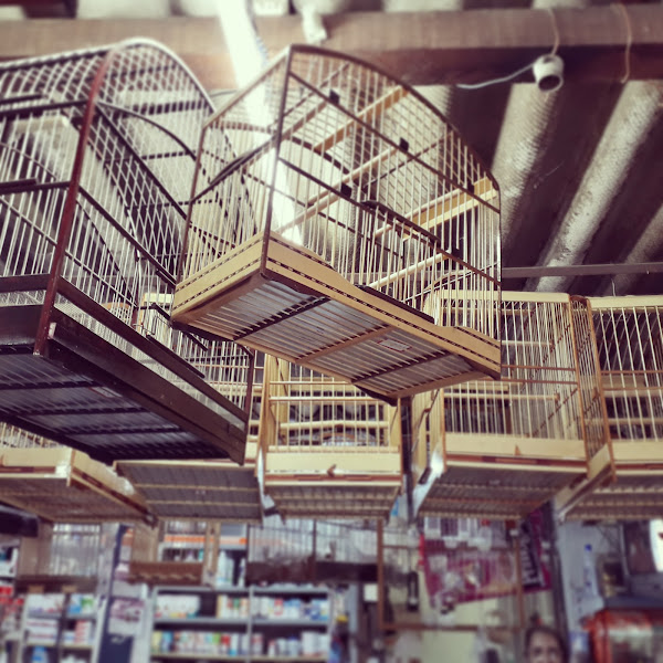 Foto 3 I.A FERNANDES RAÇÕES