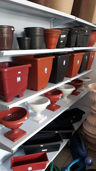 Foto 1 Pitbull Rações