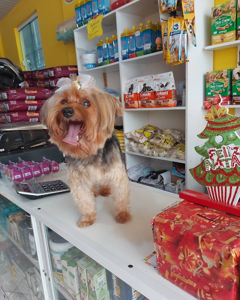 Foto 1 Au Au Rações