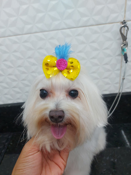 Foto 2 Au Au Rações