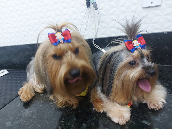 Foto 3 Au Au Rações