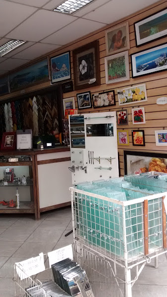 Foto 1 Rio Paiva Vidros