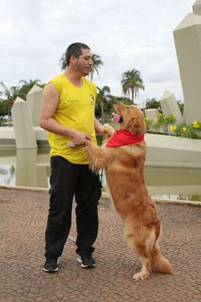 Foto 2 Master Cães e Gatos