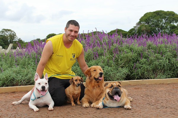 Foto 3 Master Cães e Gatos