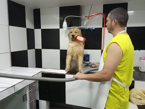 Foto 4 Master Cães e Gatos