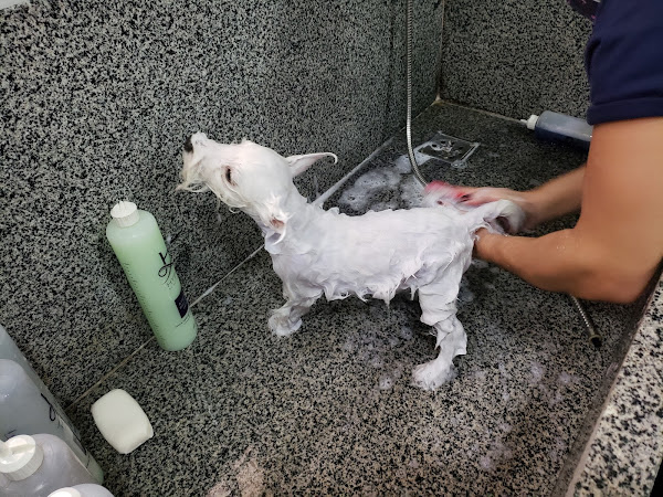 Foto 6 Armazém Rural