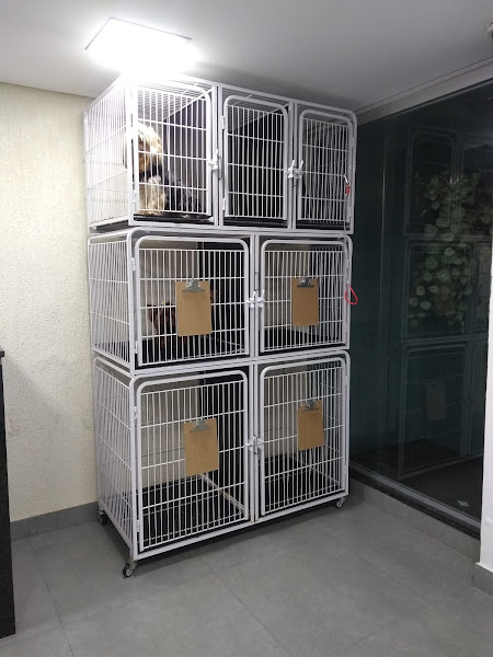 Foto 1 Pet Shop e Consultório Veterinário - AGROCEN