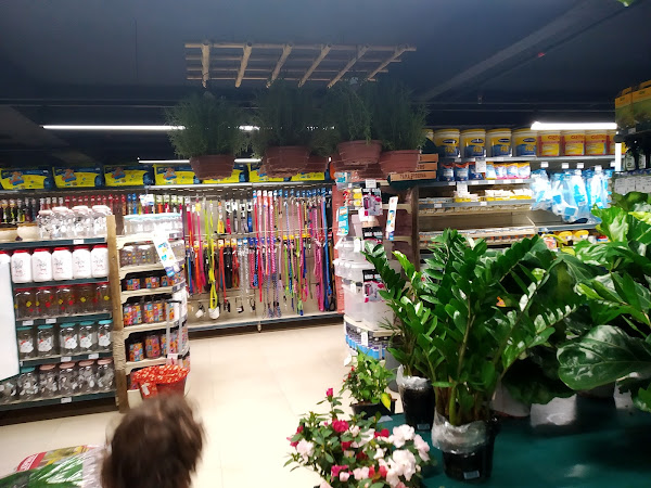 Foto 2 Cobasi DF Asa Norte