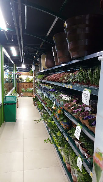 Foto 3 Cobasi DF Asa Norte