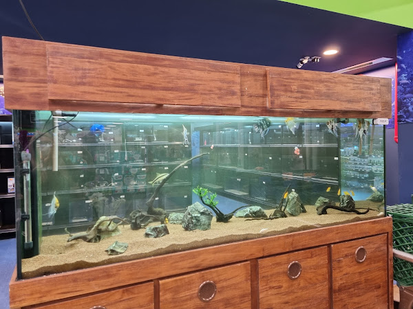 Foto 3 Cobasi Brasilia CasaPark