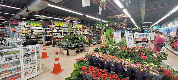 Foto 1 Cobasi Brasilia DF Plaza Shopping