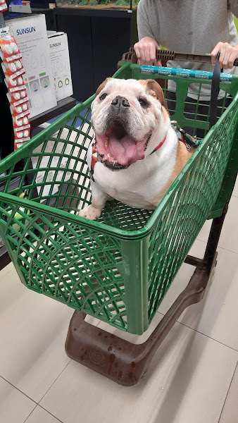 Foto 2 Cobasi Brasilia DF Plaza Shopping