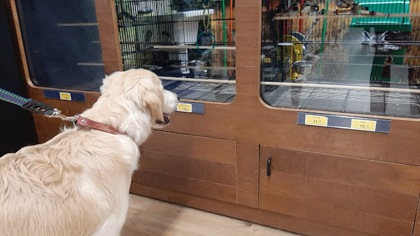 Foto 5 Cobasi Brasilia DF Plaza Shopping