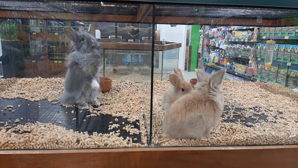 Foto 6 Cobasi Brasilia DF Plaza Shopping