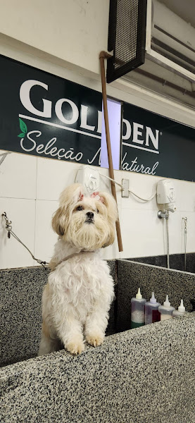 Foto 2 Armazém Rural Asa Sul