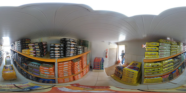 Foto 3 Newpet Clinica Veterinária 24hrs, Petshop.