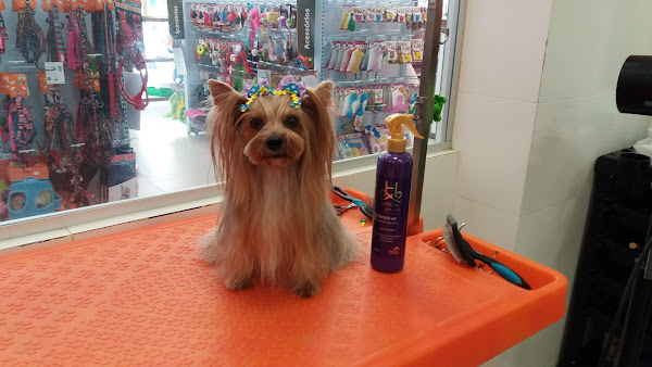 Foto 5 Petland Águas Claras Brasília