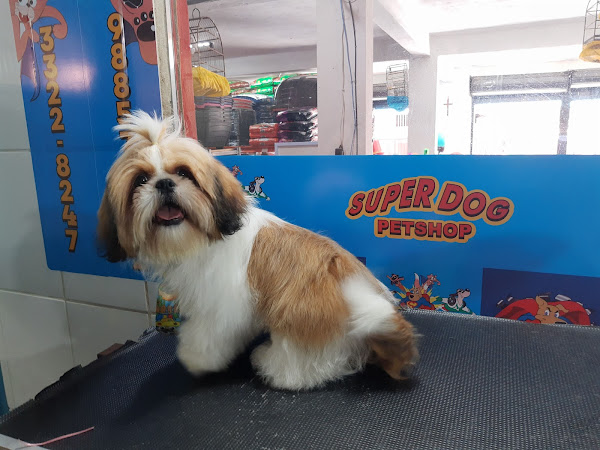 Foto 2 Super Dog Pet shop e clínica veterinária