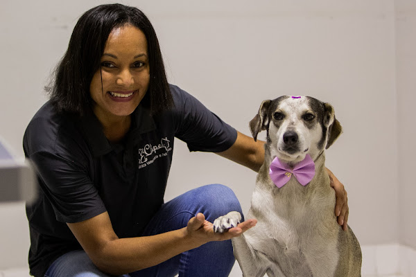 Foto 1 Clipet Pet Shop Clínica Veterinária