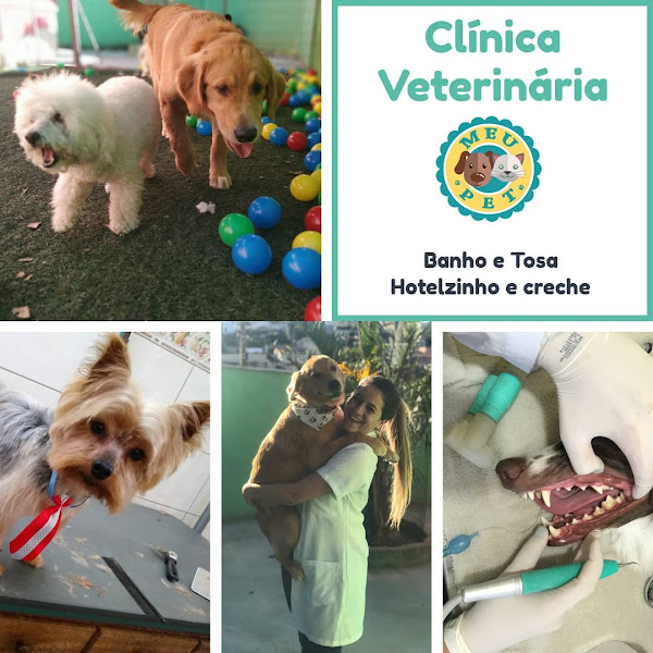 Foto 4 Clínica Veterinária Meu Pet Shop Santa Amélia - Consulta, Vacinas, Banho, Tosa, Hotelzinho, hotel para Cachorro Pampulha, Creche, Daycare, Internação