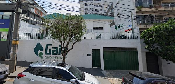 Foto 1 Clínica Veterinária I Love Pets
