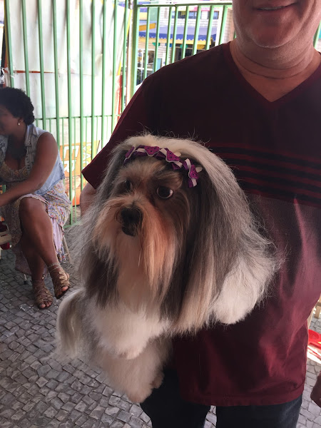 Foto 2 PIQUITITO PET SHOP