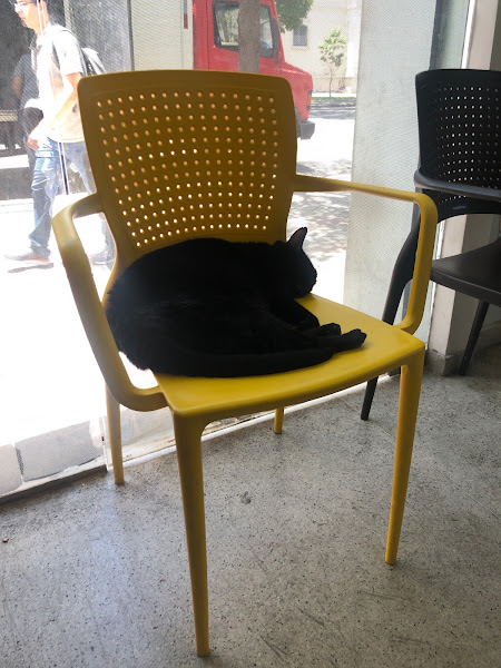 Foto 1 Dog’s Store Veterinária e Pet Shop