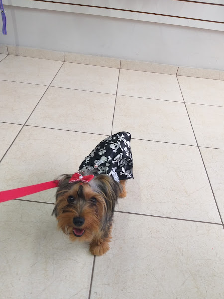 Foto 1 Espaço Animal