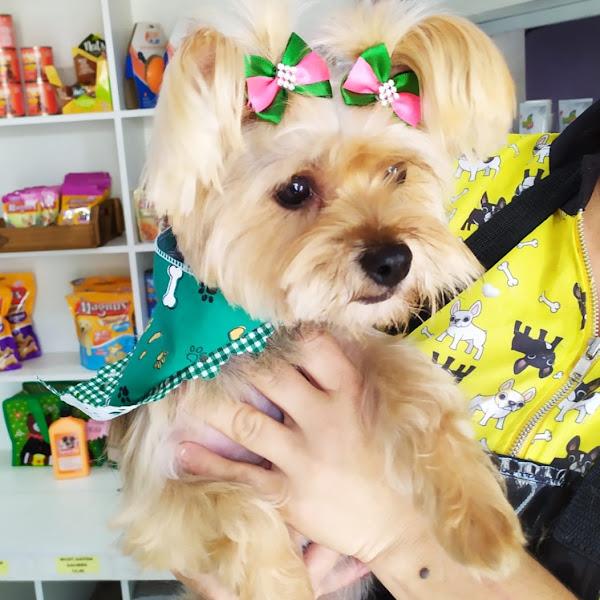 Foto 4 Patas e Bigodes