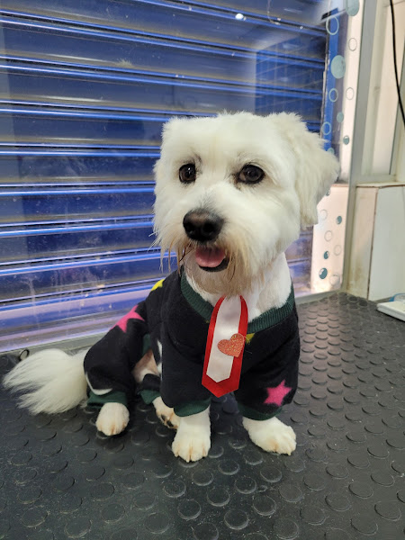 Foto 2 Recanto dos Pets Clínica Veterinária e Pet Shop